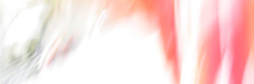 prof_vianello's profile banner image