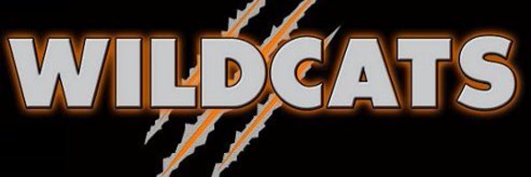 WILDCATSCheerMI Profile Banner