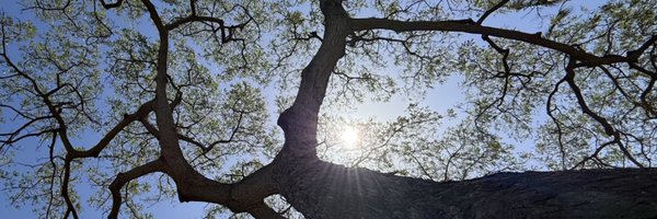 ColeKoda Profile Banner