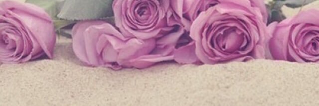 Salmary's profile banner image