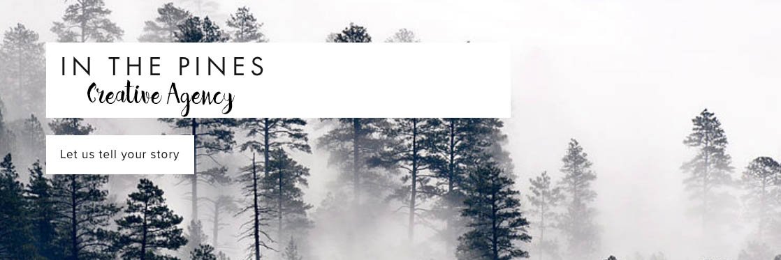 InThePinesCrtv's profile banner image