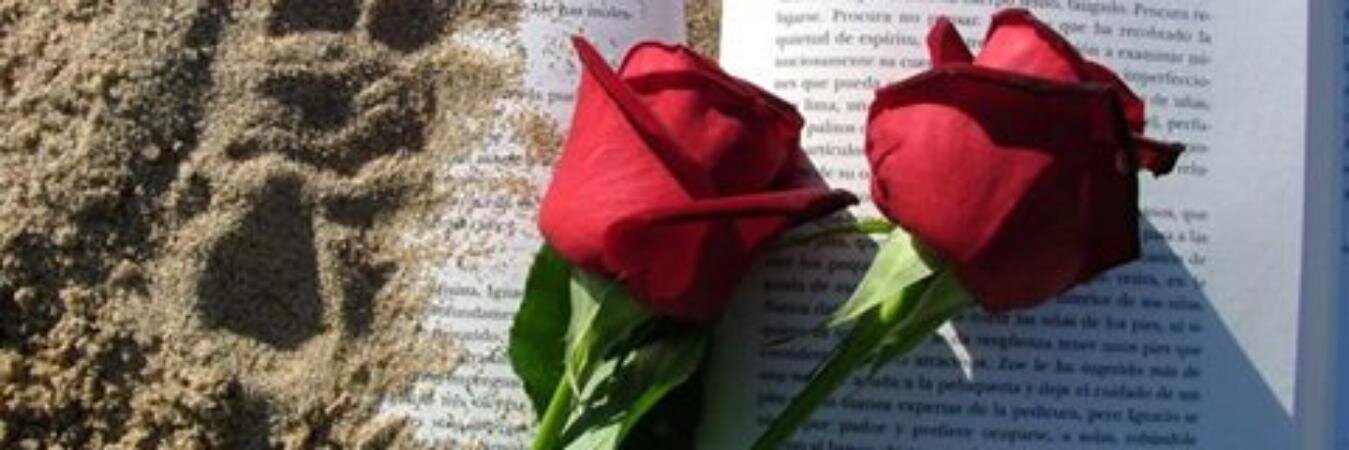 Montserrat Roma banner