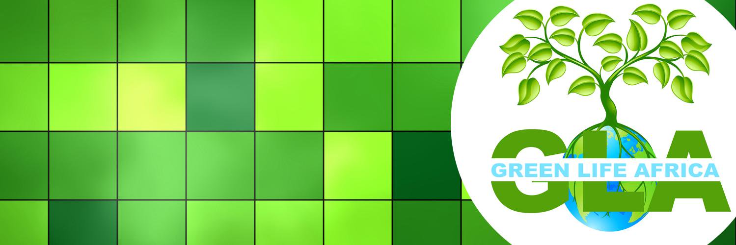 capibar91's profile banner image