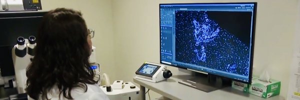 ErikaWee Profile Banner