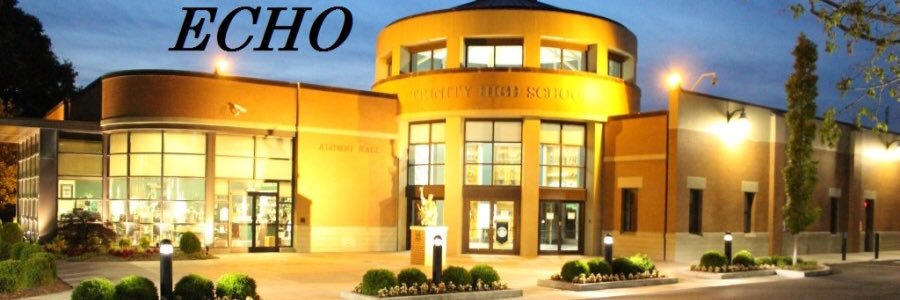 ECHO ONLINE banner