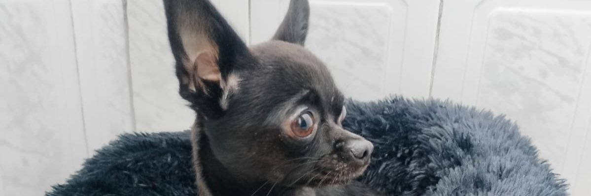 a_infanteee's profile banner image