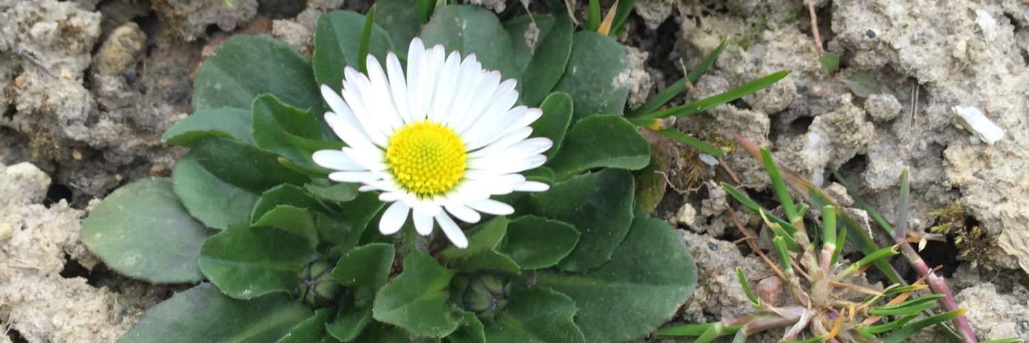 MimiPidr's profile banner image