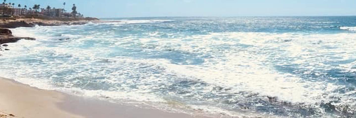 Stephanie Cerat banner