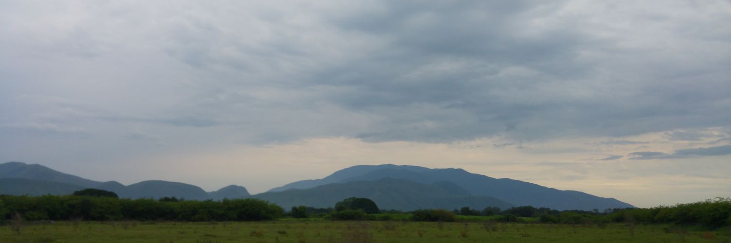 Octavio Bañuelos banner