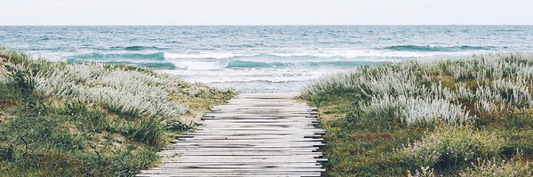 AlternateScript Profile Banner