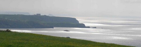 picoj Profile Banner