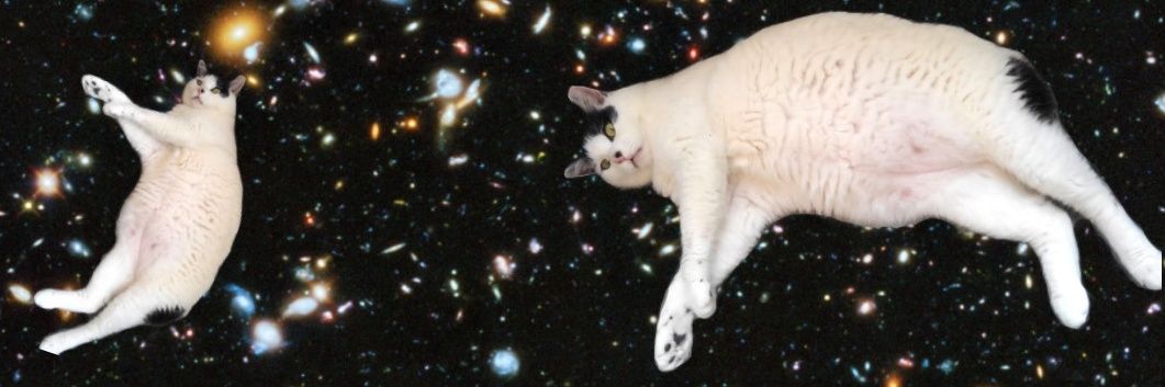 PASSiON RECORDSのひと banner