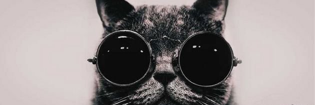 Maddzerrr's profile banner image