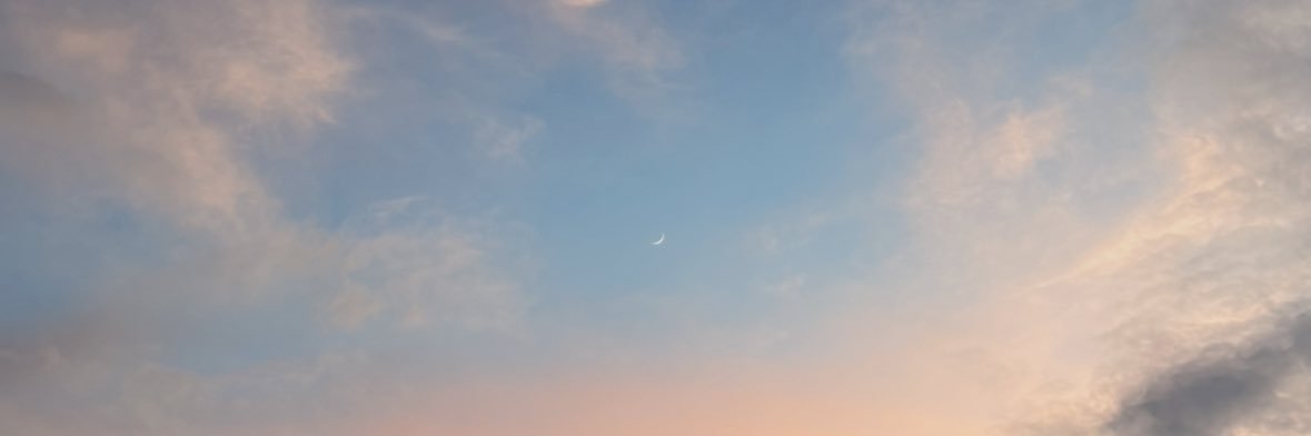 ryan_schaecher's profile banner image