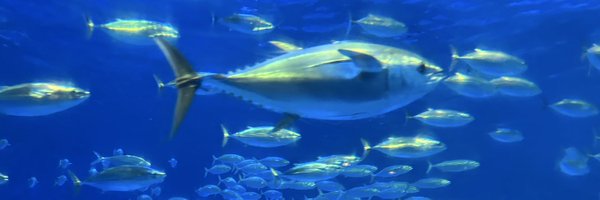 far_west9 Profile Banner