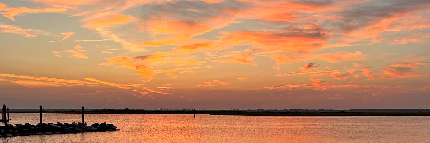 Meredith Pallante banner