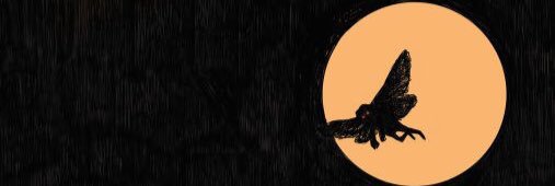 moonhoof's profile banner image
