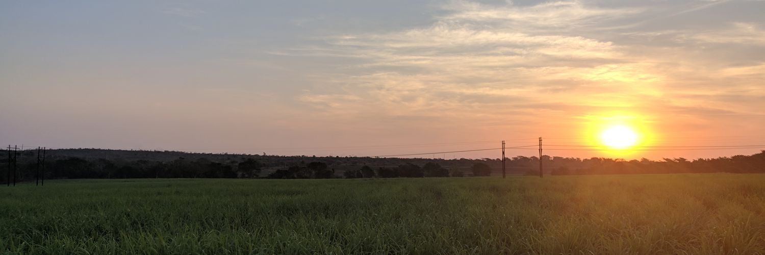 ngubanele's profile banner image
