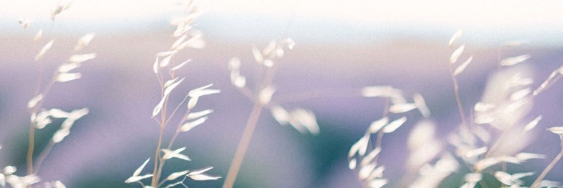 rach_desouza's profile banner image