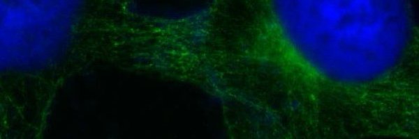 DelaneyKSull Profile Banner