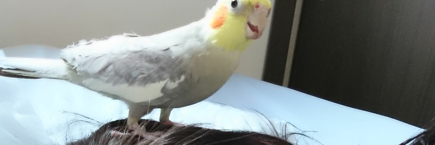 patywmb's profile banner image