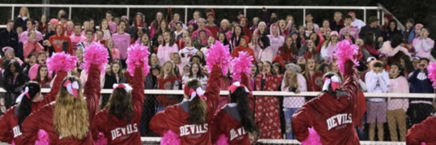 The Red Nation banner