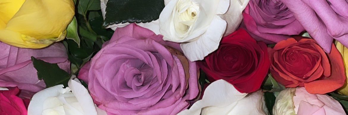 dSr🦋's banner
