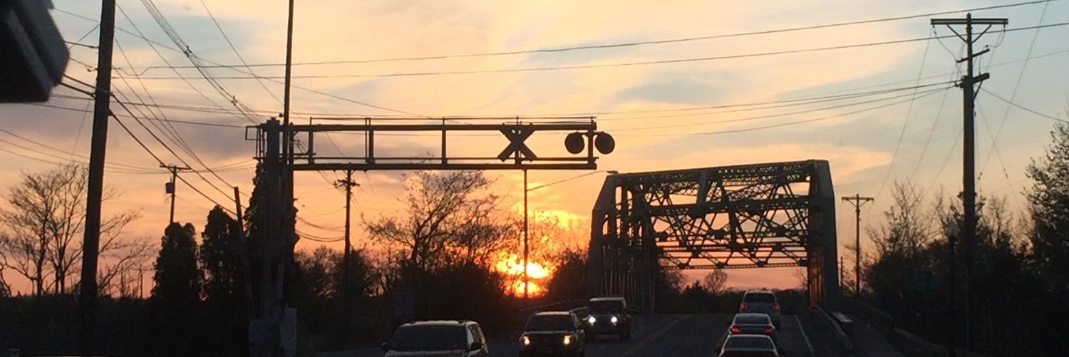 taliasmookler's profile banner image