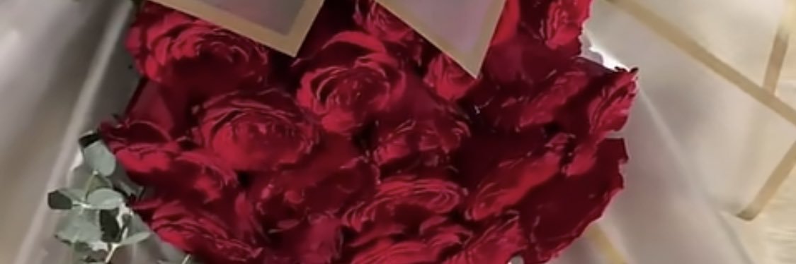 Samoha345's profile banner image