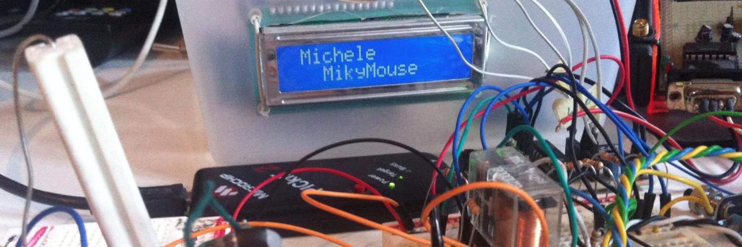 Michele Martinelli banner