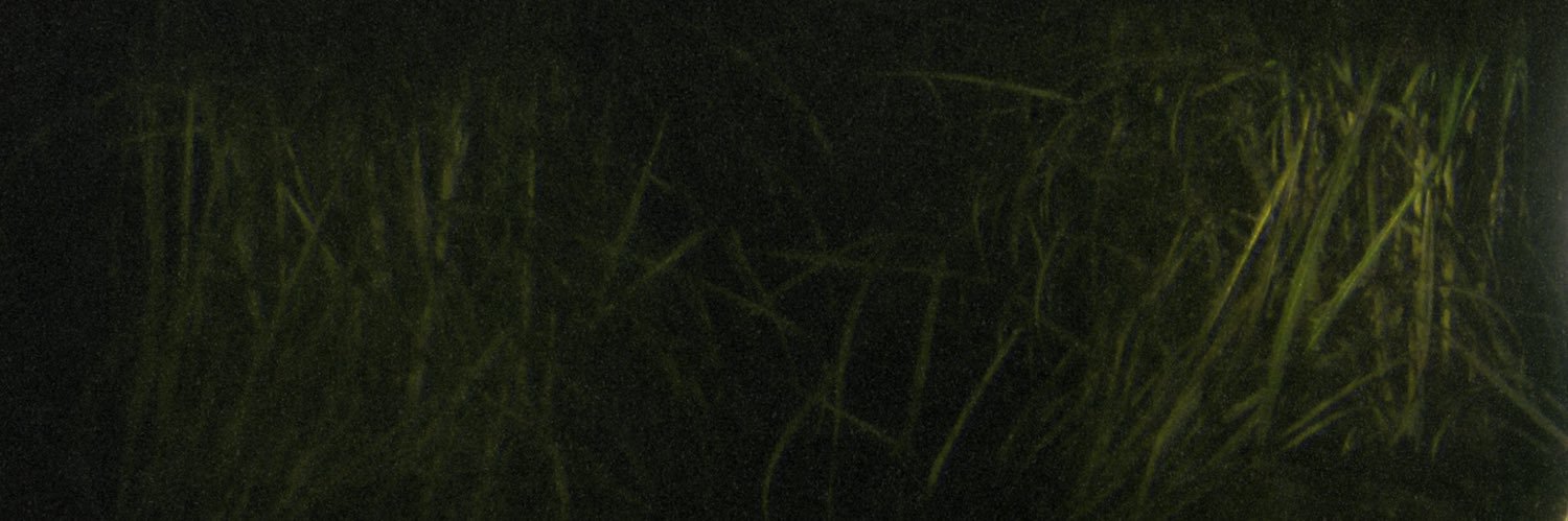 𝔞𝔯𝔞 𝔳𝔢𝔩𝔞 banner