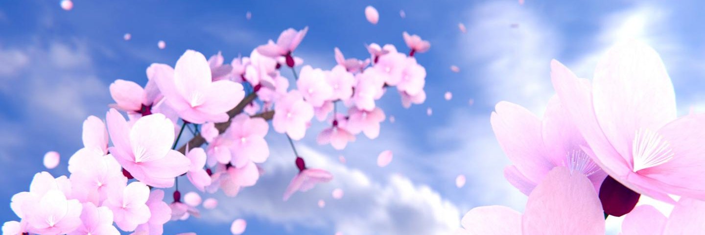 AkariiRose's profile banner image
