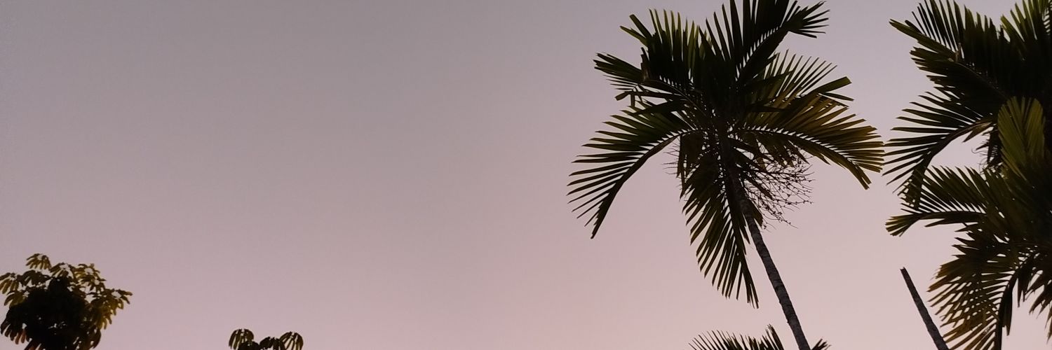 Leda Marte banner