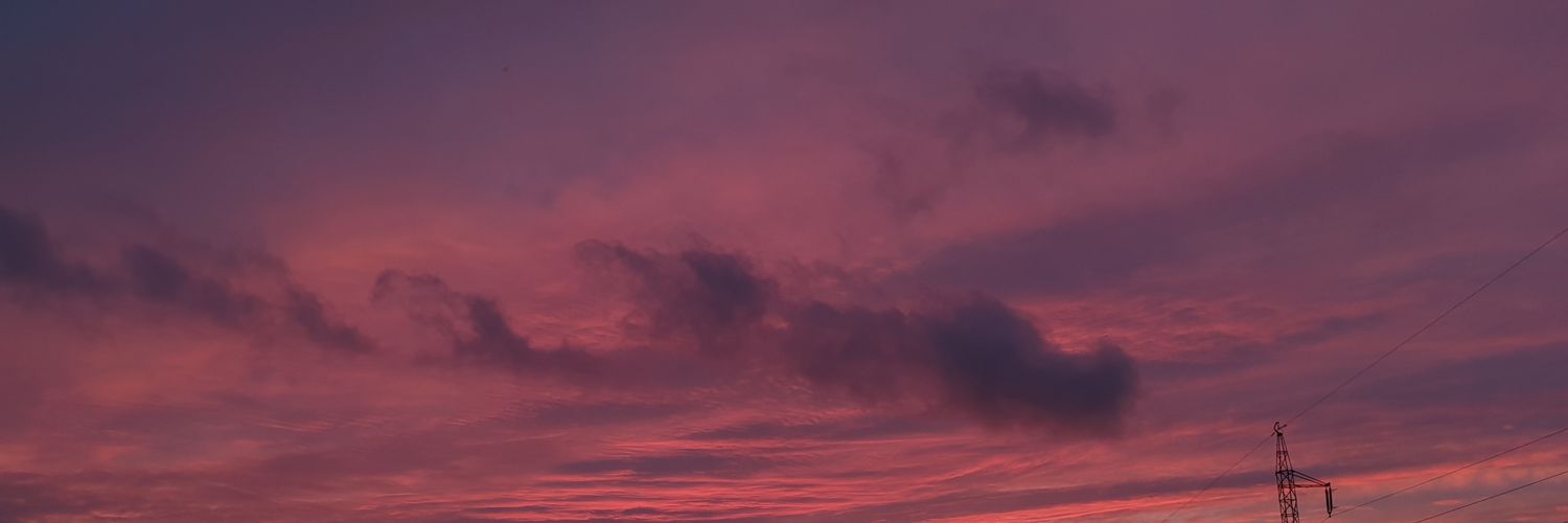 Janusz z Jasła (Wasza Wysokość / Waszej Wysokości) banner