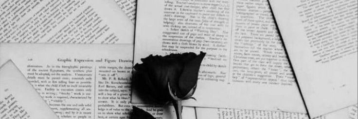 Cutter🖤🔞 banner