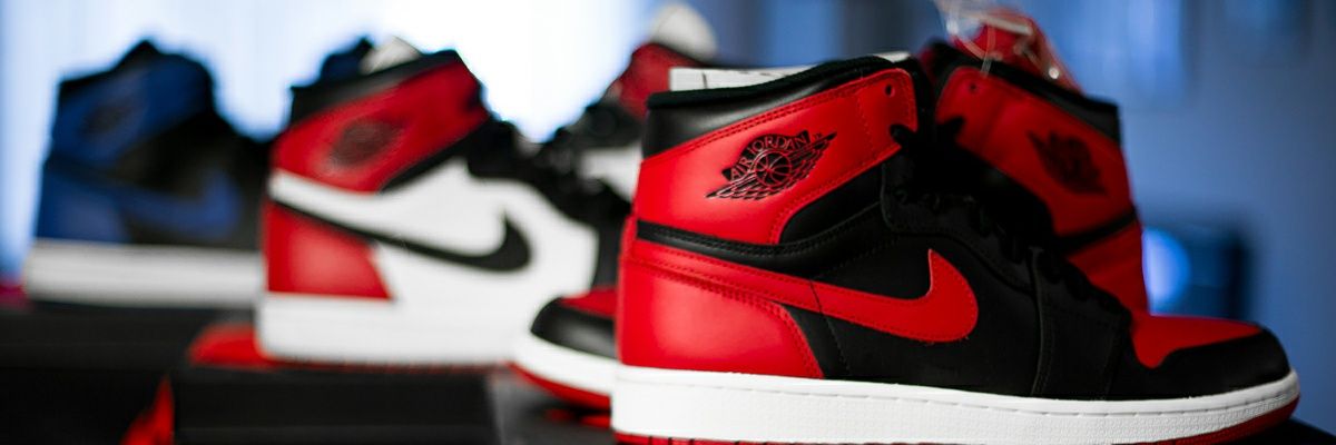 PyTorgy's profile banner image