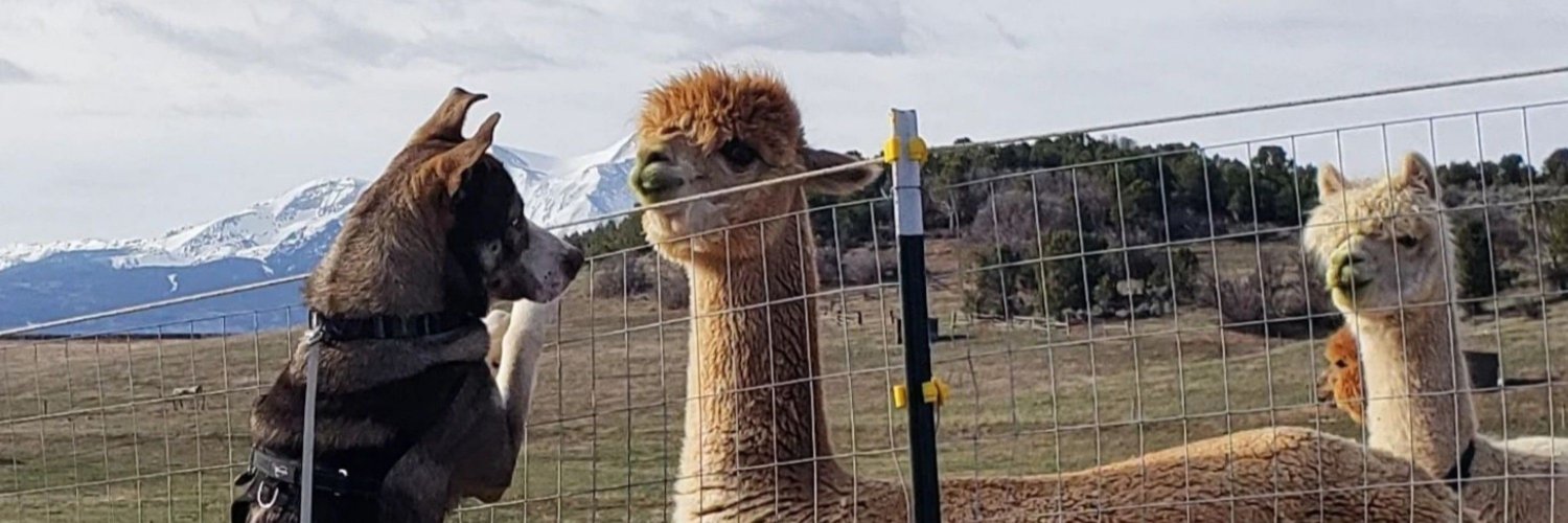 Erik Maulbetsch banner