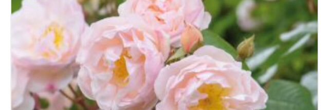 kateglyndon's profile banner image