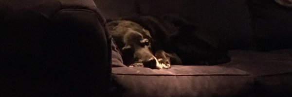 harmonmt Profile Banner