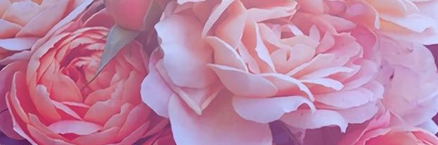 nataliejaneLOVE's profile banner image
