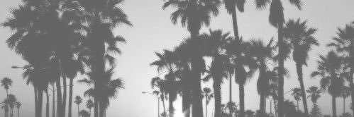lovingheartx's profile banner image