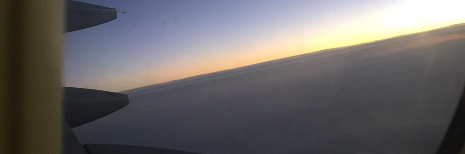 suazores's profile banner image