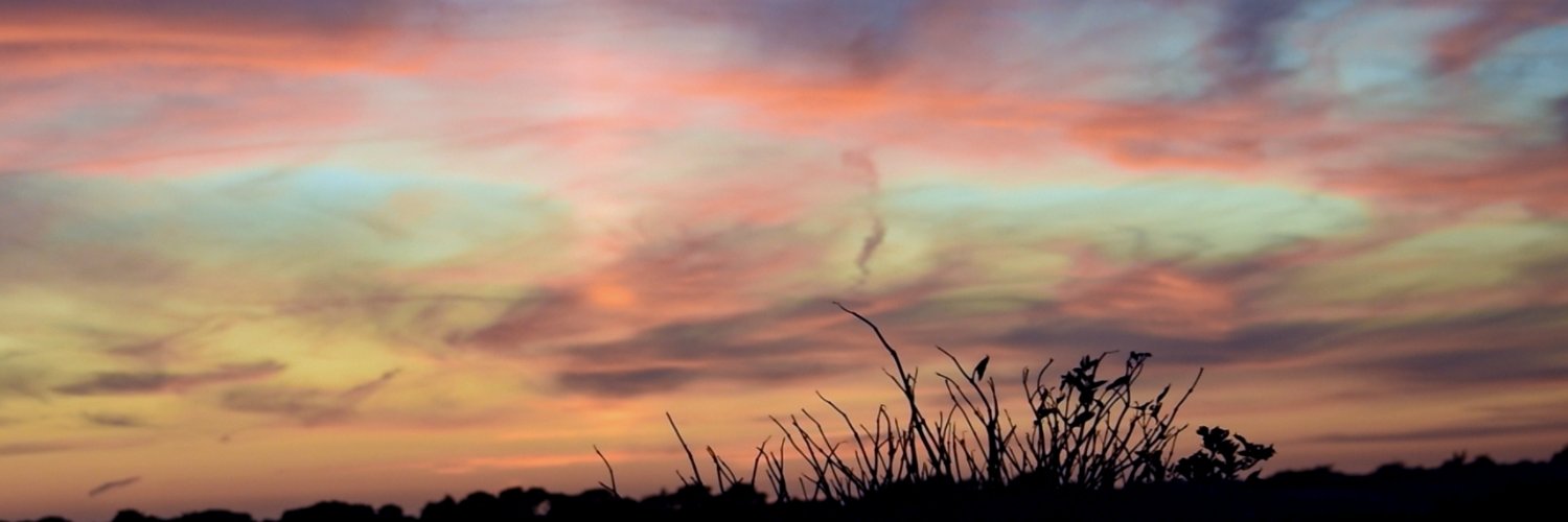 Offscauta's profile banner image