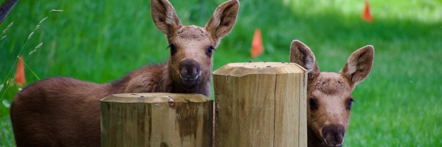 narendra 🎈 🏃🏻‍♂️ banner