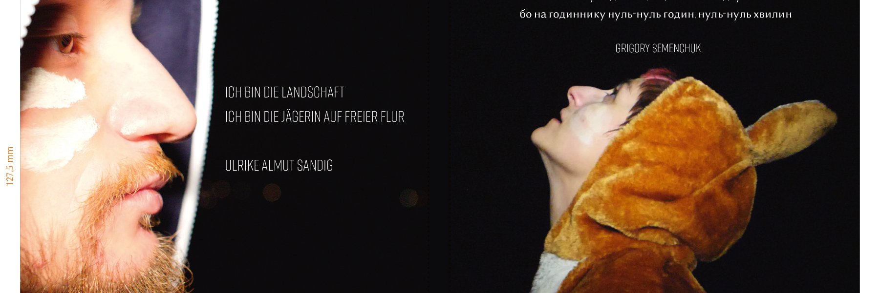 Ulrike Almut Sandig banner