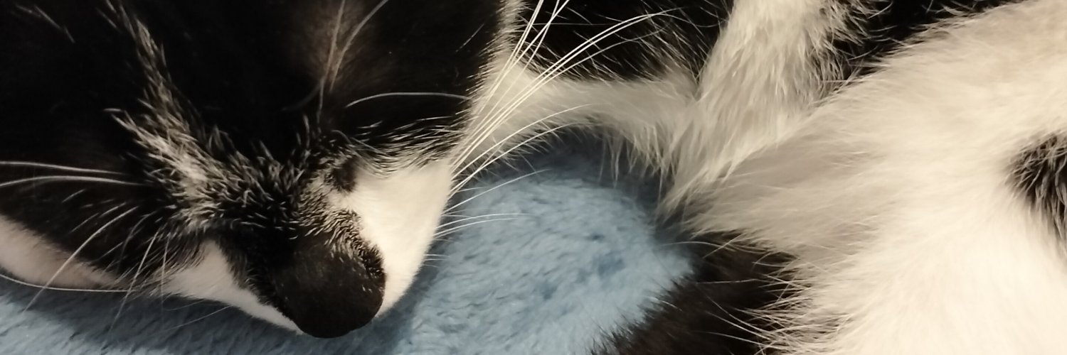 berrybnuu's profile banner image