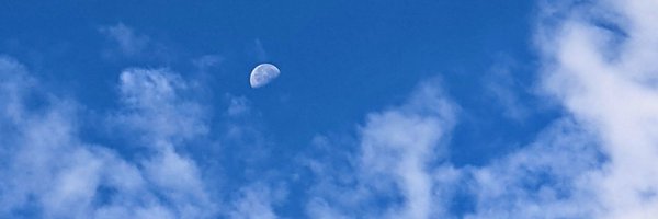 Guffe_Nassen Profile Banner