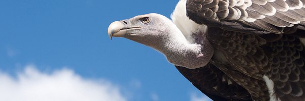 kader_germain's profile banner image