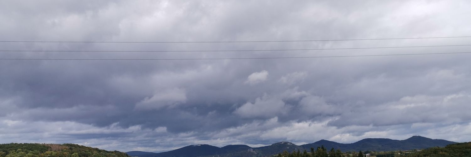 pulegon's profile banner image