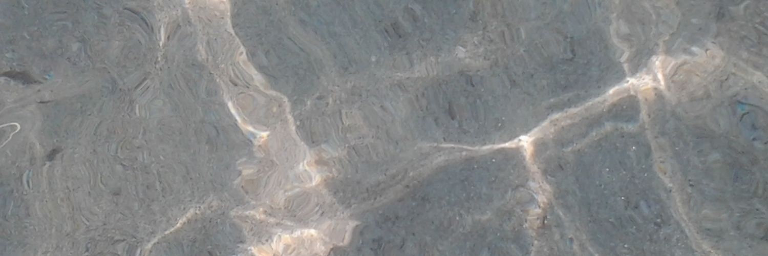 DADALILIA's profile banner image